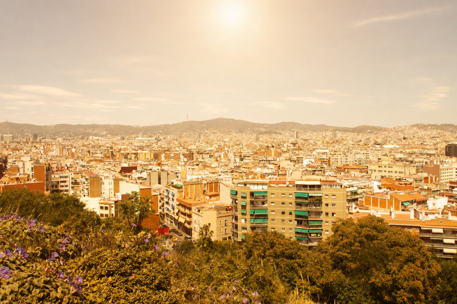 Catalunya s’escalfa: com poden respondre les renovables a un clima cada vegada més extrem?